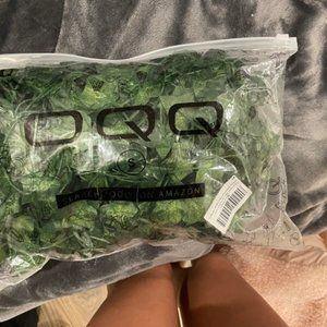 Fake vines (room decor)